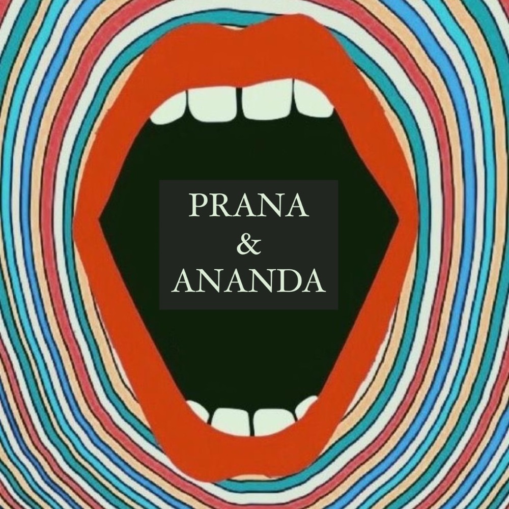 Meet Prana & Ananda,